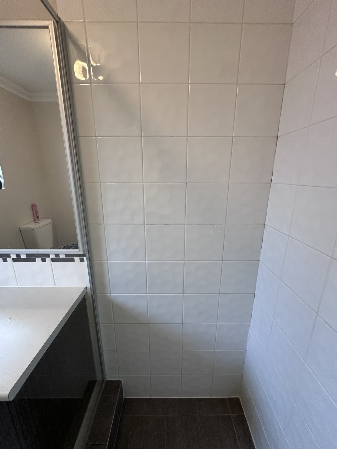 Before view of shower wall & screen area